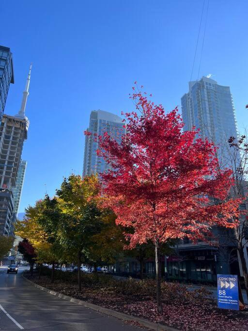 Sky Living Awesome And View Apartment Toronto